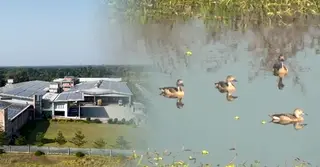 শ্রমিক ব্যস্ততা ও অতিথি পাখির কলকাকলিতে মুখর সাভারের শিল্পাঞ্চল